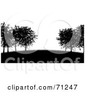 Poster, Art Print Of Black And White Silhouetted Trees On A Hill Over White