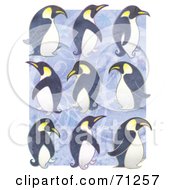 Poster, Art Print Of Rows Of Waddling Penguins Over Purple