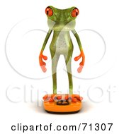 3d Green Poison Dart Frog Standing On A Scale Pose 1 by Julos