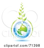 Green Vine Growing From A Blue And Green Protected American Globe