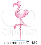 Pink Wading Flamingo With One Leg Lifted