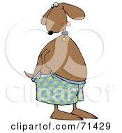Embarrassed Dog Pulling Up His Shorts