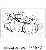 Poster, Art Print Of Black And White Outline Of Two Pumpkins With Leaves