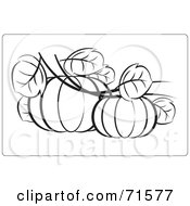 Royalty Free RF Clipart Illustration Of A Black And White Outline Of Two Pumpkins With Leaves by Lal Perera