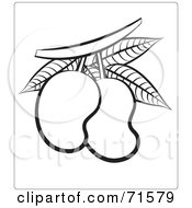 Poster, Art Print Of Black And White Outline Of Mangoes