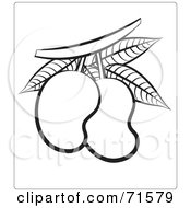 Royalty Free RF Clipart Illustration Of A Black And White Outline Of Mangoes