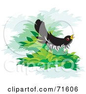 Poster, Art Print Of Singing Cuckoo Bird On A Branch