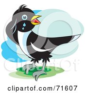 Poster, Art Print Of Magpie Bird Crying