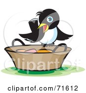 Poster, Art Print Of Magpie Perched On A Bucket