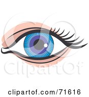 Poster, Art Print Of Blue And Purple Eye
