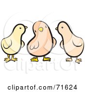 Royalty Free RF Clipart Illustration Of A Group Of Three Chicks