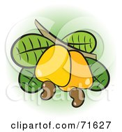Royalty Free RF Clipart Illustration Of Cashews On A Branch by Lal Perera