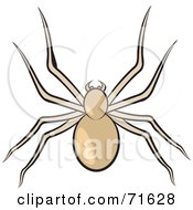 Royalty Free RF Clipart Illustration Of A Creepy Beige Spider by Lal Perera