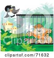 Poster, Art Print Of Magpie Flying By A Male Lion In A Cage