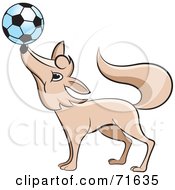 Poster, Art Print Of Fox Balancing A Soccer Ball On His Nose