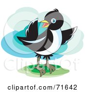 Poster, Art Print Of Magpie Bird Pointing