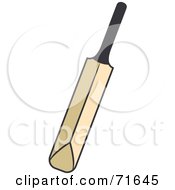 Poster, Art Print Of Wood Cricket Bat