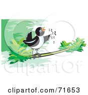 Poster, Art Print Of Magpie Bird Singing On A Branch