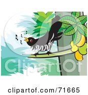 Royalty Free RF Clipart Illustration Of A Cuckoo Bird Singing In A Tree