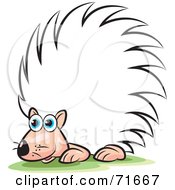 Royalty Free RF Clipart Illustration Of A White Albino Porcupine by Lal Perera