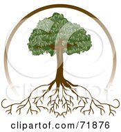 Royalty Free RF Clipart Illustration Of A Brown Circle Around A Mature Tree With Deep Roots by inkgraphics #COLLC71876-0143