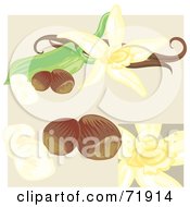 Poster, Art Print Of Vanilla Flowers And Nuts