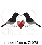 Crow Couple Over A Red Heart