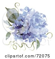 Poster, Art Print Of Blue Hydrangea Flowers And Leaves