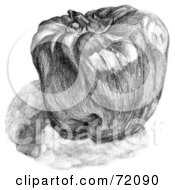 Royalty Free RF Clipart Illustration Of A Black And White Shadowed Bell Pepper Sketch