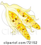 Royalty Free RF Clipart Illustration Of Two Ears Of Indian Corn With Husks by Maria Bell