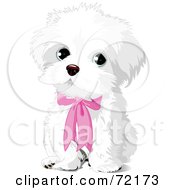 Poster, Art Print Of Cute White Puppy Dog Wearing A Pink Bow