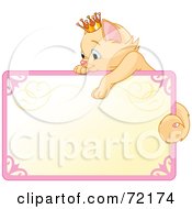 Poster, Art Print Of Princess Kitten Draped Over The Top Of A Blank Sign