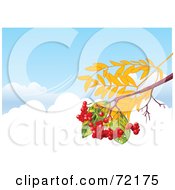 Poster, Art Print Of Autumn Branch With Berries Over Clouds In A Blue Sky With A Breeze