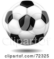 Poster, Art Print Of Hovering 3d Standard Soccer Ball With A Shadow