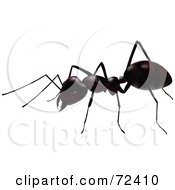 Royalty Free RF Clipart Illustration Of A 3d Ant Bug