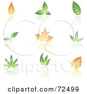 Poster, Art Print Of Digital Collage Of Leaves With Reflections