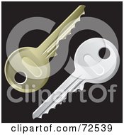 Poster, Art Print Of Gold And Silver House Keys On Black