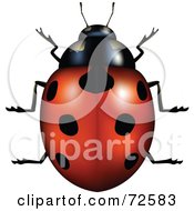 Poster, Art Print Of 3d Red Ladybug With Perfect Black Spots