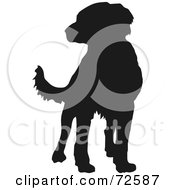 Poster, Art Print Of Dark Brown Labrador Dog Silhouette