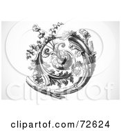 Royalty Free RF Clipart Illustration Of A Black And White Vintage Spiraling Leafy Branch