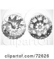 Royalty Free RF Clipart Illustration Of A Digital Collage Of Two Elegant Black And White Floral Woodcut Circles