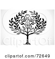 Royalty Free RF Clip Art Illustration Of A Black And White Laurel Tree With Olives