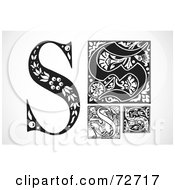 Poster, Art Print Of Digital Collage Of Black And White Letters S - Version 3