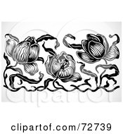 Poster, Art Print Of Black And White Tulip Border Design Element