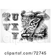 Royalty Free RF Clipart Illustration Of A Digital Collage Of Elegant Black And White Leafy Letters T Through Z by BestVector