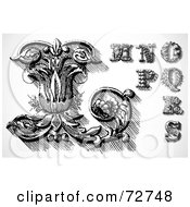 Royalty Free RF Clipart Illustration Of A Digital Collage Of Elegant Black And White Leafy Letters L Through S