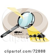 Poster, Art Print Of Magnifying Glass Casting Burning Light On An Ant