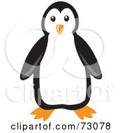 Poster, Art Print Of Cute Black And White Penguin Bird Facing Front