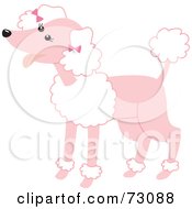 Royalty Free RF Clipart Illustration Of A Happy Pink Poodle With White Fluff