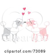 Poster, Art Print Of Two Gray And Pink Poodles In Love